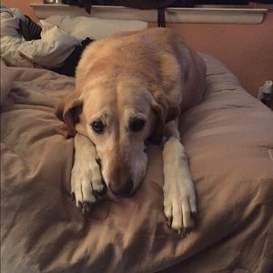 Meet your Posher, Alexandra